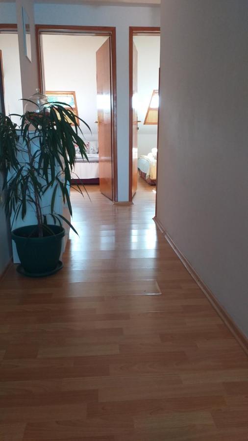 Apartmani "Zuka" Korčula Eksteriør billede